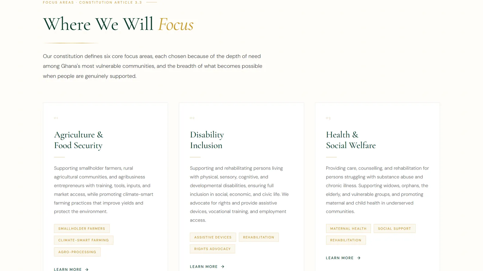 “Where We Will Focus” section with cards for the focus areas and their tags