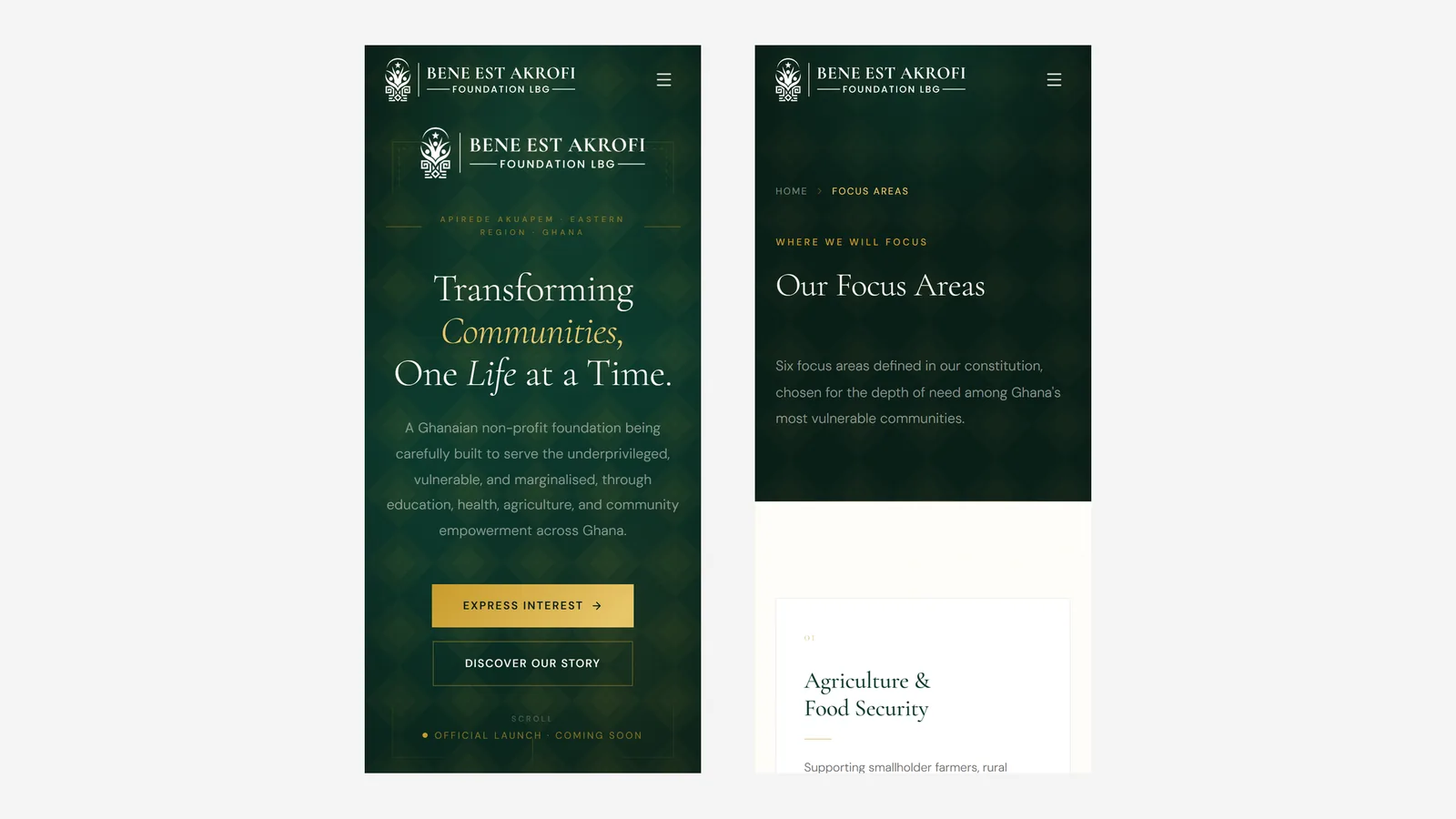 The site on a phone: homepage hero and the Focus Areas page